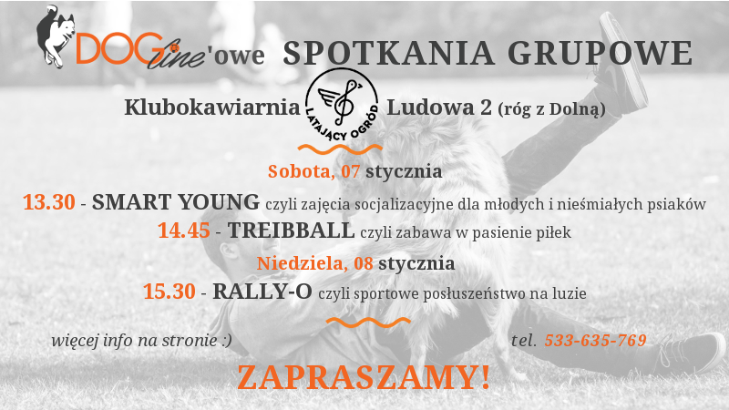 Szkolenie psów Warszawa - DOG Line