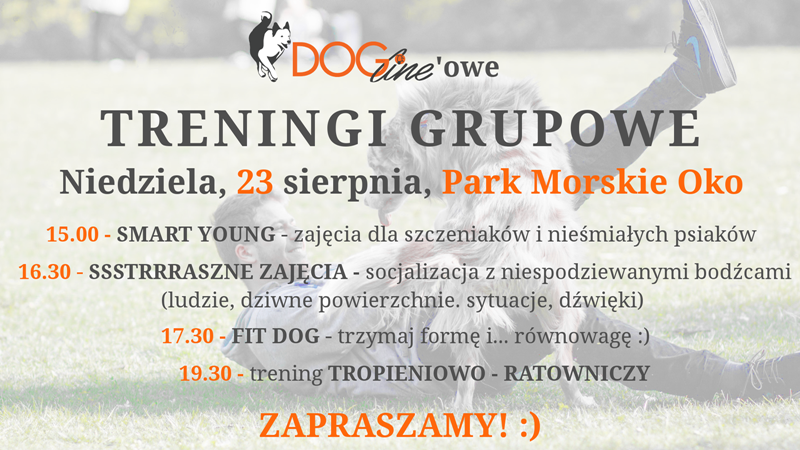 Szkolenie psów Warszawa - DOG Line